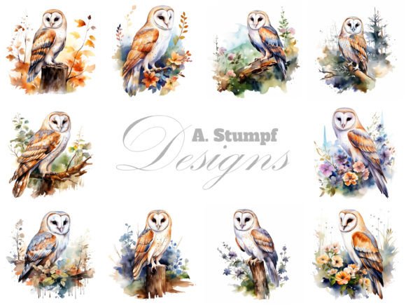 Download Barn Owl Clipart Watercolor Bird Images - Watercolor Collection