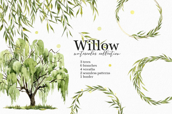 Download Willow Tree Watercolor Clipart - Watercolor Collection
