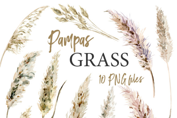 Download Pampas Grass Watercolor Boho Clipart - Watercolor Collection