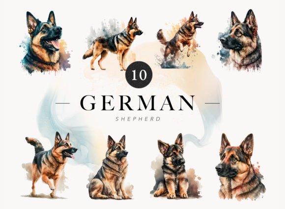 Download 10 German Shepard Watercolor Clip Art - Watercolor Collection